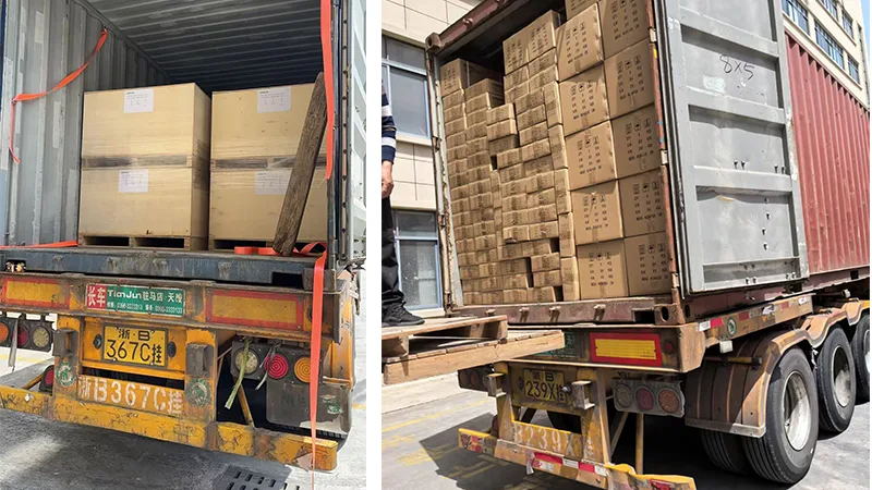 Sarah Electric Packaging and Shipment