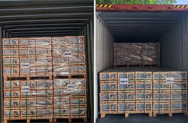 Sarah Electric Shipment